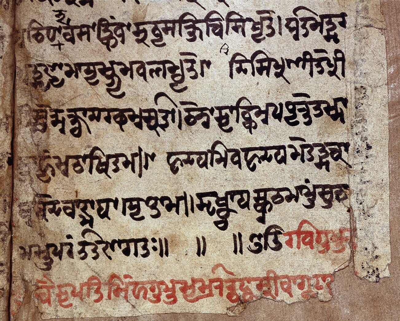 Text of colophon from Sanskrit Manuscript on medicine, in black and red ink