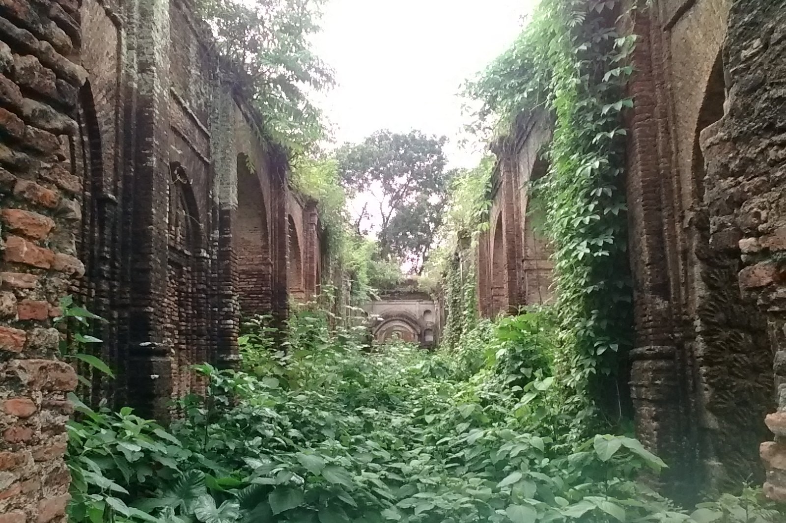 A photographs showing the ruins of the palace and temples built by Rani Bhabani, Murshidabad, partly overgrown with plants