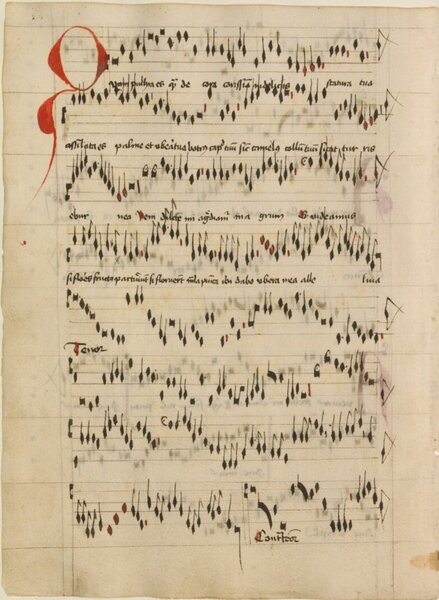 15th-century manuscript musical notation for John Dunstable, Quam pulchra es et quam decora, for three voices. Writing in back, with the initial letter Q in red.