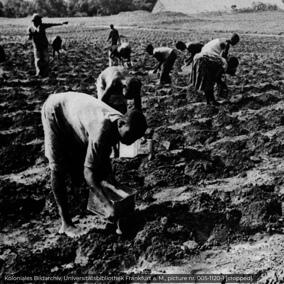 Epistemic Inequalities and their Consequences: The International Labour Organization and its Treatment of Colonial Workers after 1919 episode artwork